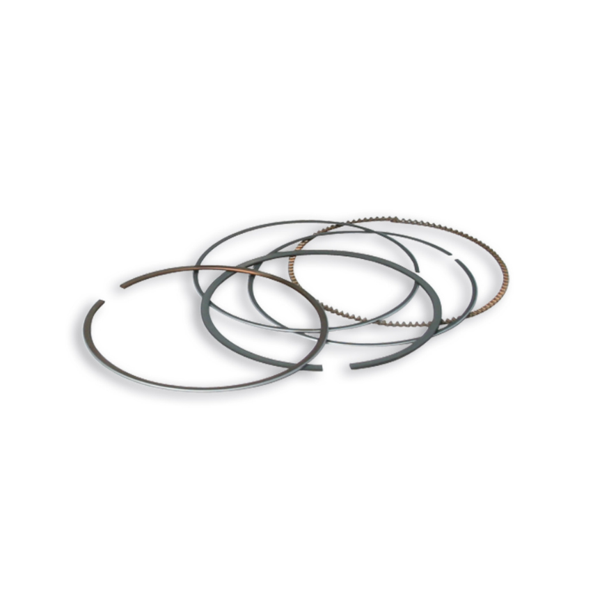 Malossi segments for 560 kit
